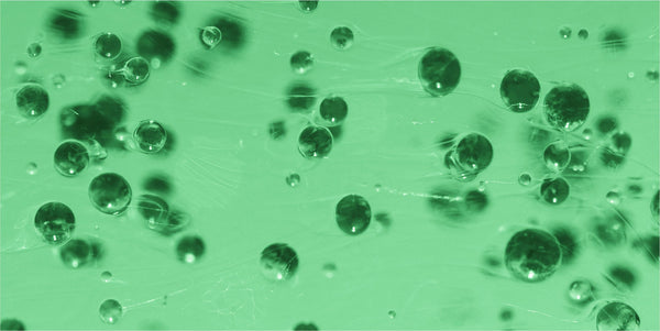 Canada’s Answer to K-Beauty’s Snail Mucin: The PhytoSpherix® Breakthrough