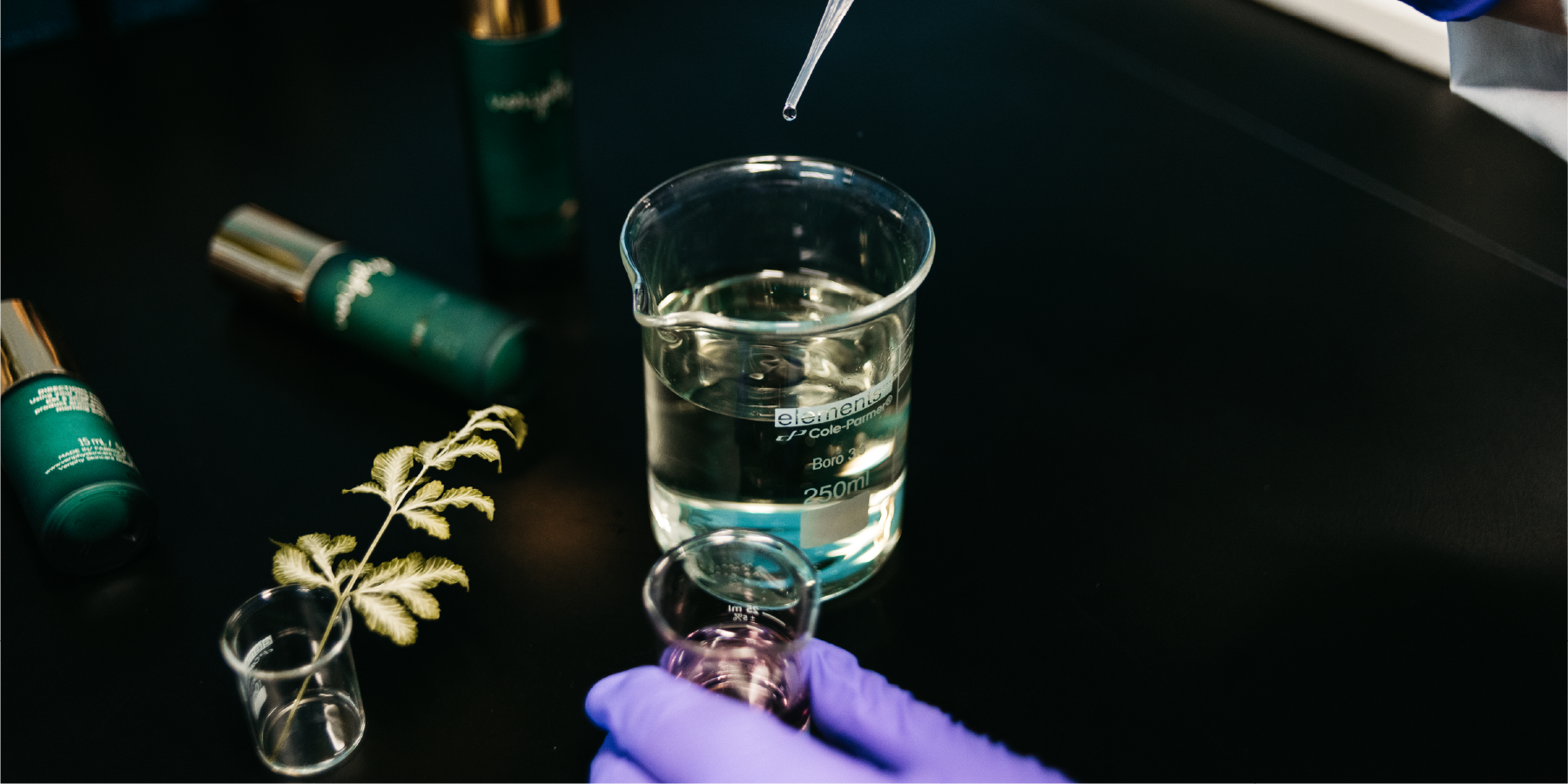 Hand with glove mixing white powder from watch glass into beaker of water in a laboratory